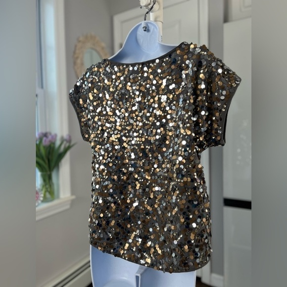 THE Limited Gold Silver Bronze Sequin Short Sleeve Gray Top Size XS - Picture 5 of 13